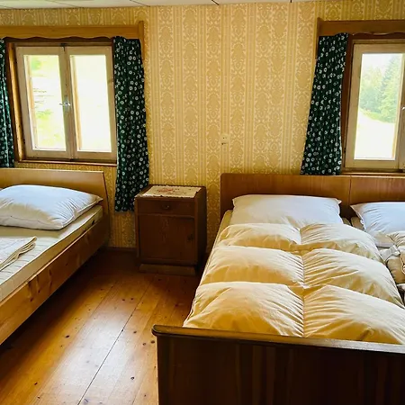 Sauschneiderhof * Krakauhintermuhlen