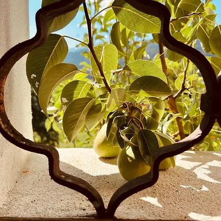 Dom wakacyjny Sauschneiderhof