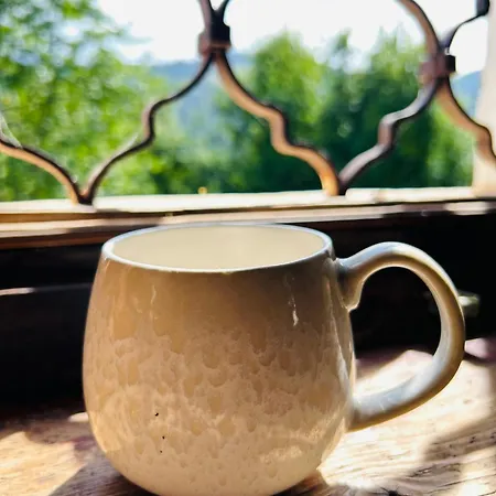 Sauschneiderhof * Krakauhintermuhlen