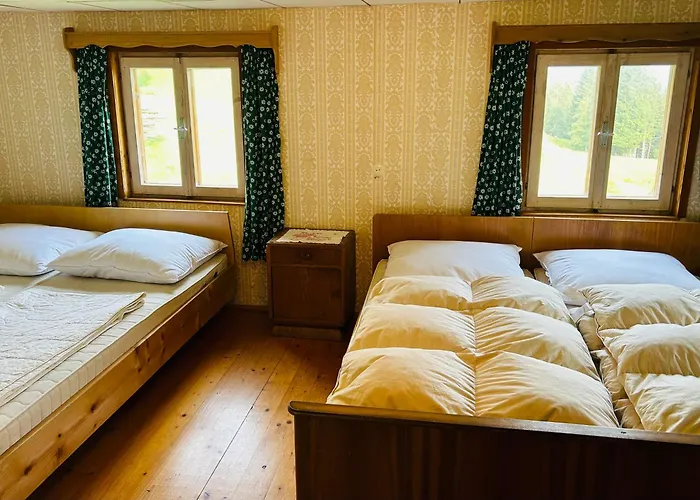 Sauschneiderhof * Krakauhintermuhlen