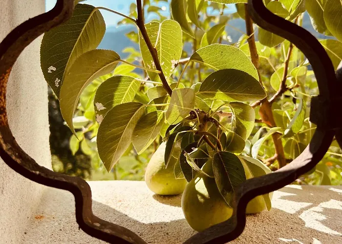 Holiday home Sauschneiderhof